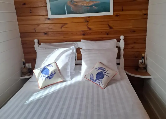 Chalet Chalet Le Teich